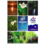 �ӽ�ȯ���̹���1